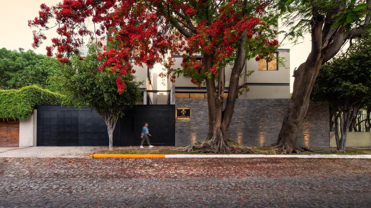 Huicholes